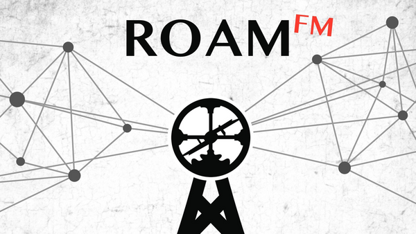 Mat McGann: Roam for Teamwork, Health Horizon